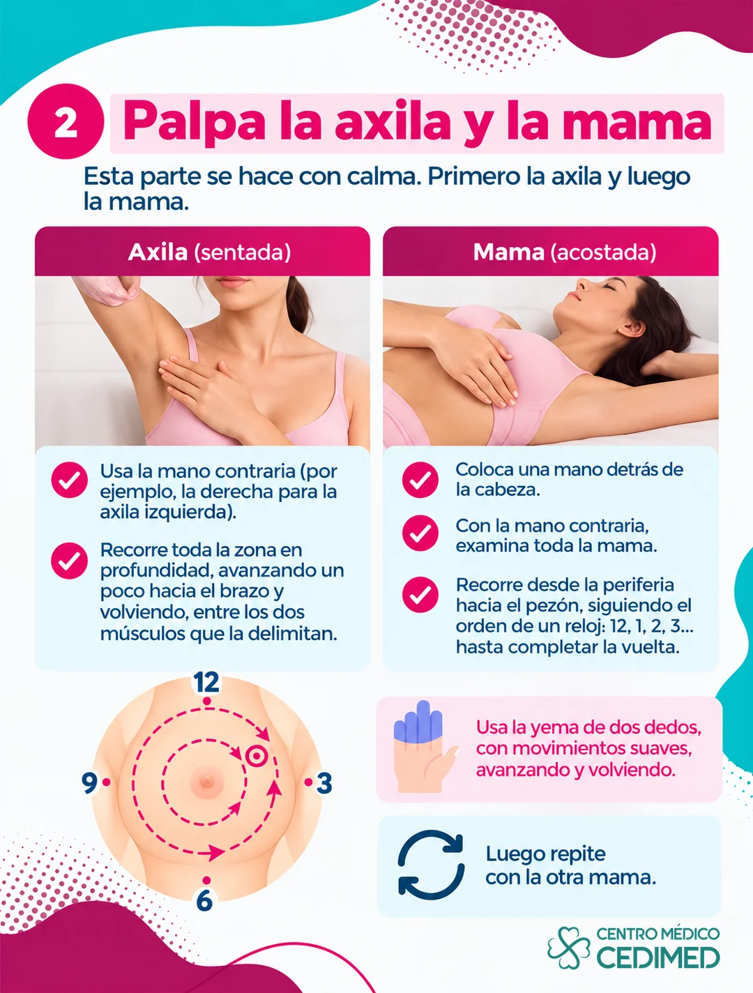 Infografía del autoexamen de mama, paso 2: palpar la axila sentada y la mama acostada, recorriendo la mama como un reloj con la yema de dos dedos